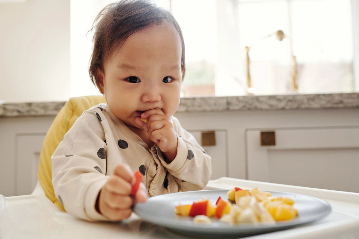 Libros de baby-led weaning que sí merecen la pena (y cuál elegir)