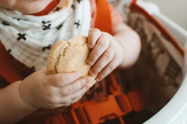 Manos de un bebé sentado en la trona sosteniendo una galleta infantil redonda